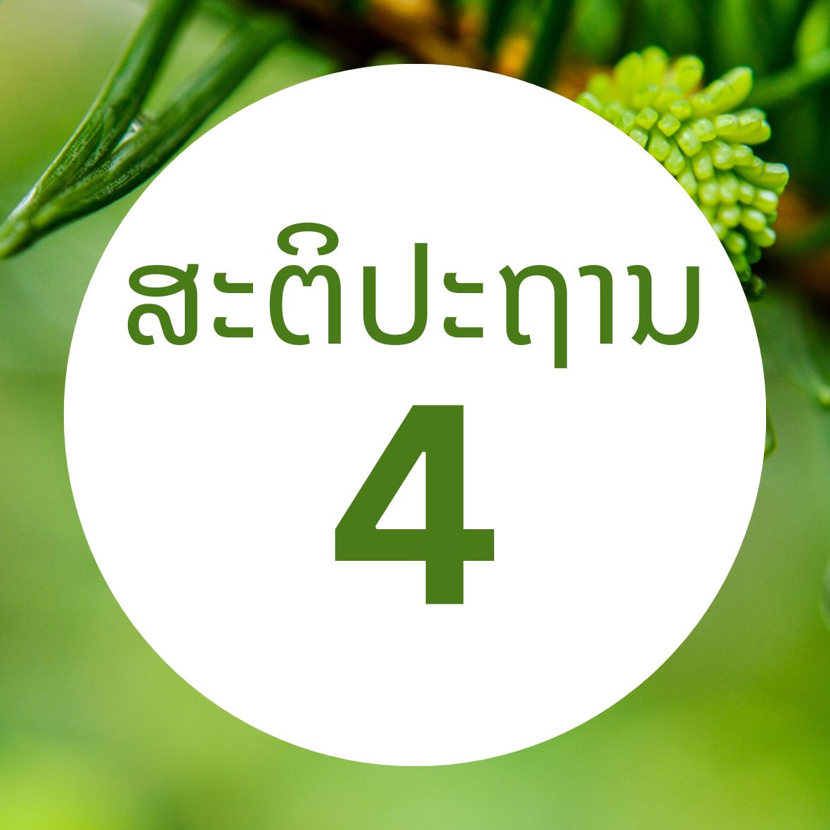 ສະຕິປະຖານ 4